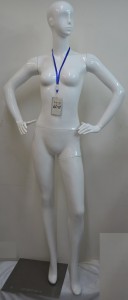 Female Glossy Abstract